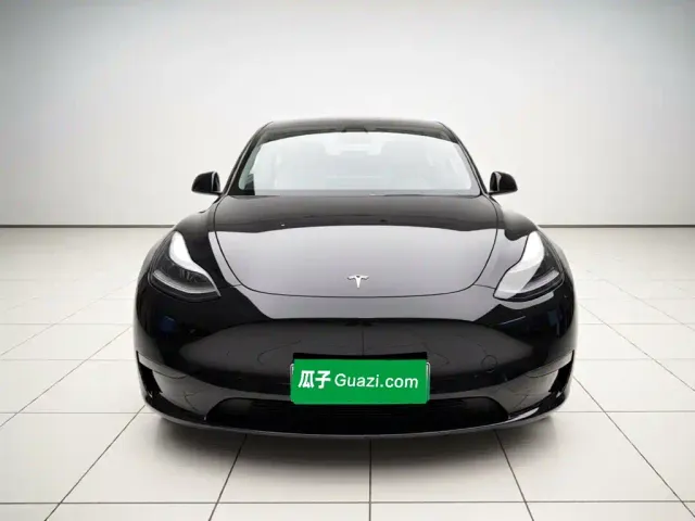 Tesla Model Y — Фото автомобиля 2