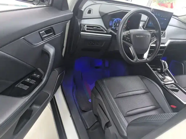 Venucia T60EV — Фото автомобиля 15