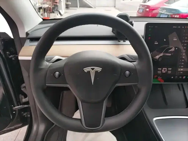 Tesla Model Y — Фото автомобиля 10