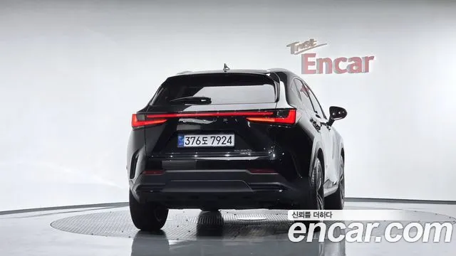 Lexus NX — Фото автомобиля 4