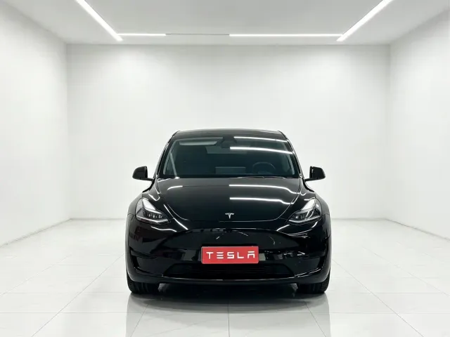 Tesla Model Y — Фото автомобиля 2