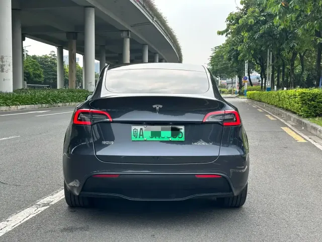 Tesla Model Y — Фото автомобиля 16