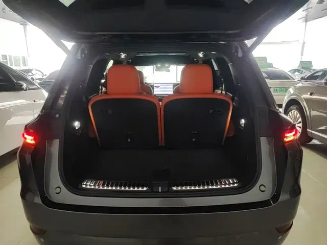 Li Auto L9 — Фото автомобиля 18