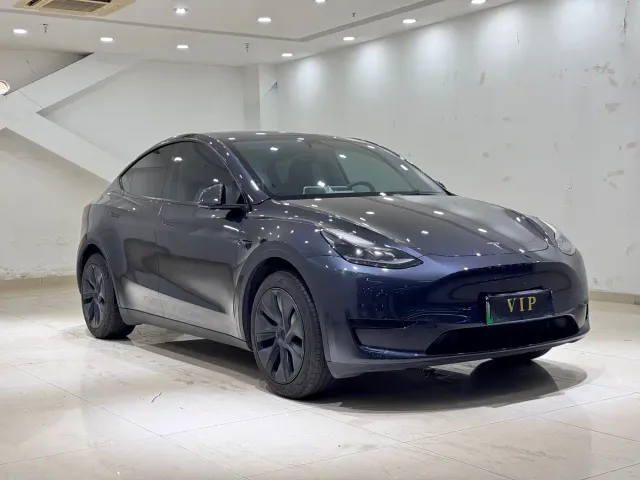Tesla Model Y — Фото автомобиля 3