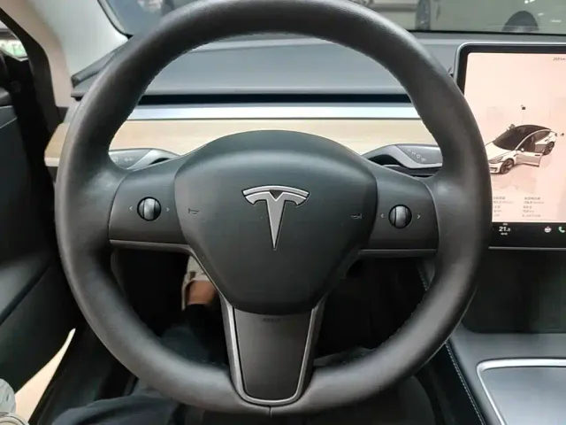 Tesla Model 3 — Фото автомобиля 10
