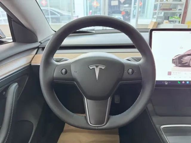 Tesla Model 3 — Фото автомобиля 12