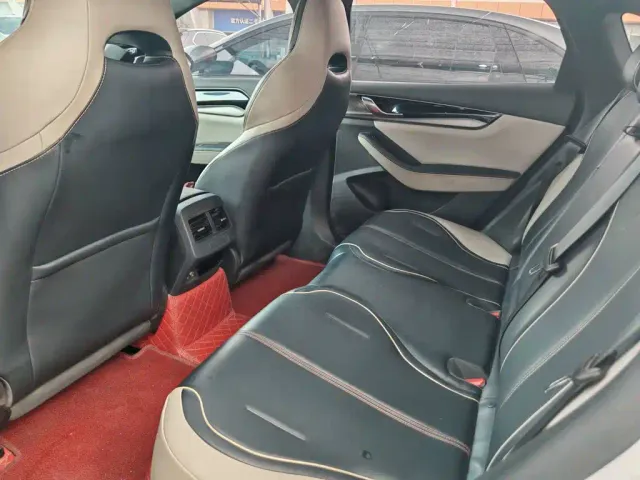 BYD Qin PLUS — Фото автомобиля 19