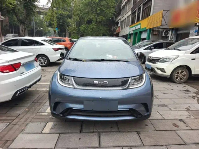 BYD Dolphin — Фото автомобиля 2
