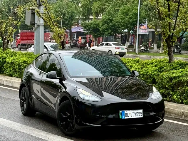 Tesla Model Y — Фото автомобиля 3
