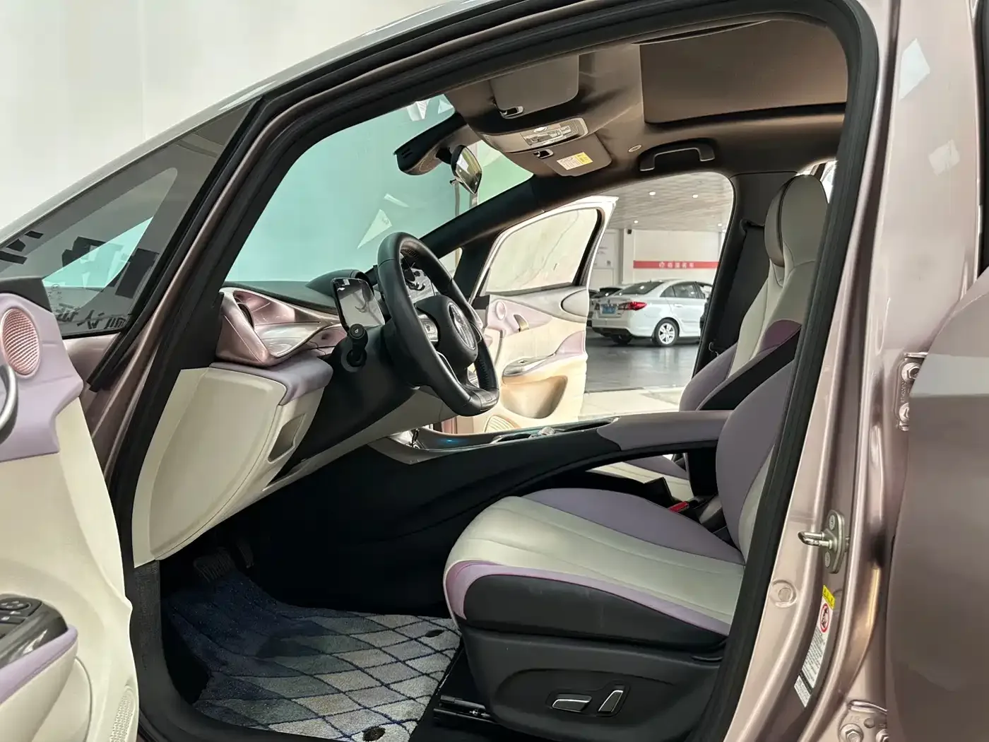 BYD Dolphin 2021 Model 405km Fashion Edition — Фото автомобиля 14