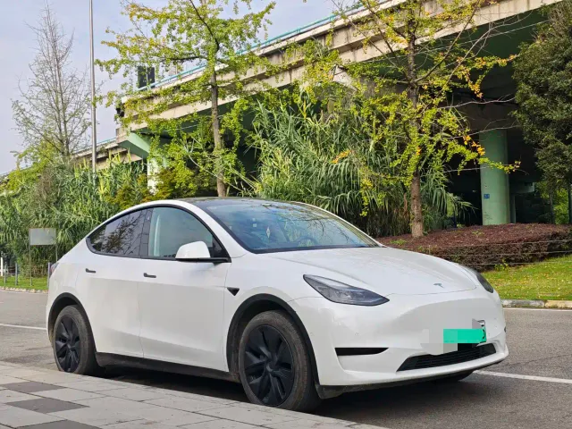 Tesla Model Y — Фото автомобиля 2