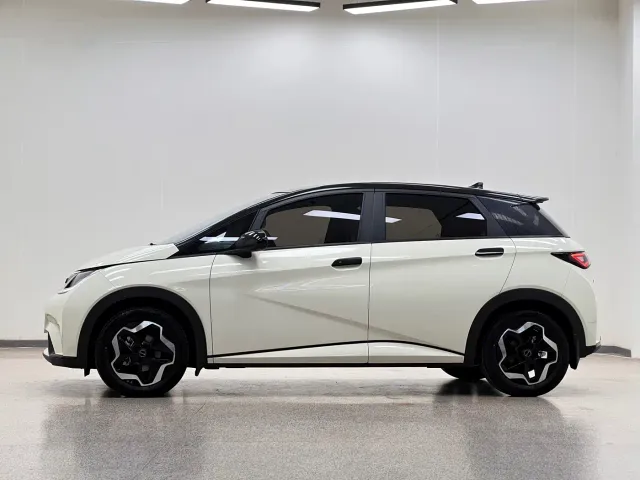 BYD Dolphin — Фото автомобиля 4