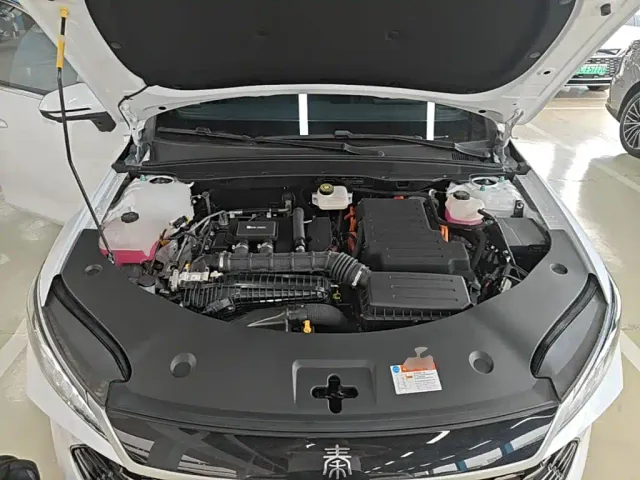 BYD Qin PLUS — Фото автомобиля 19