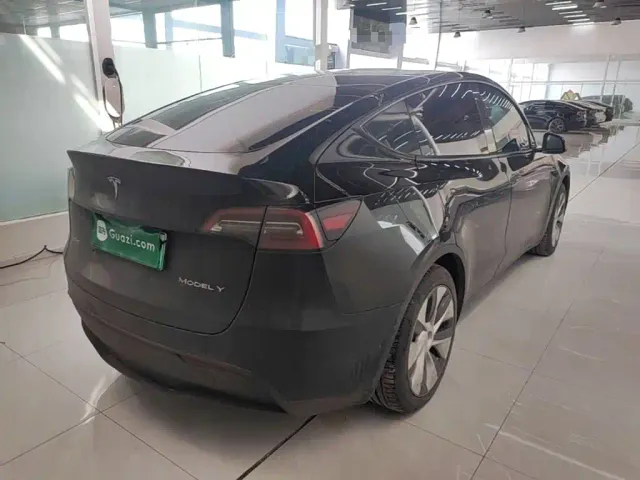 Tesla Model Y — Фото автомобиля 6