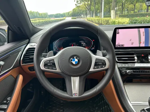 BMW 8 Series — Фото автомобиля 12