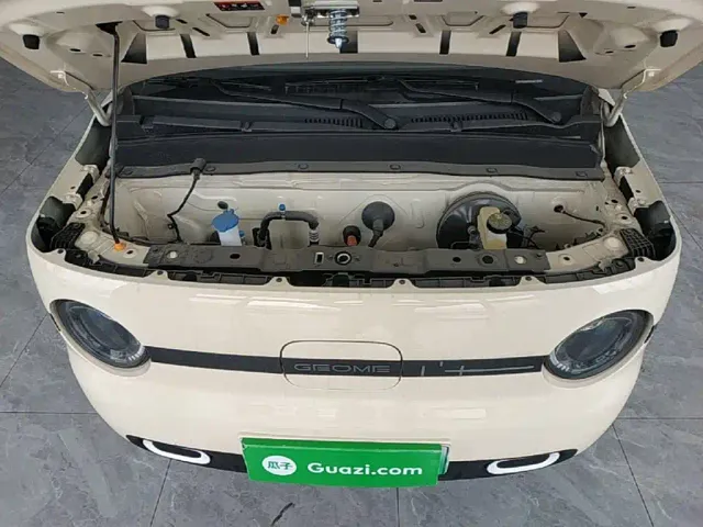 Geely Panda — Фото автомобиля 19