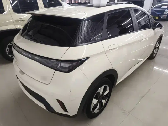 BYD Dolphin — Фото автомобиля 6