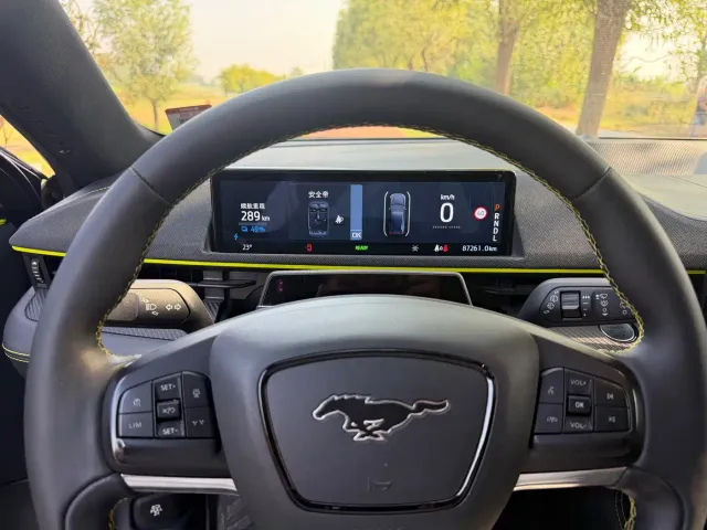 Ford Mustang Mach-E — Фото автомобиля 15