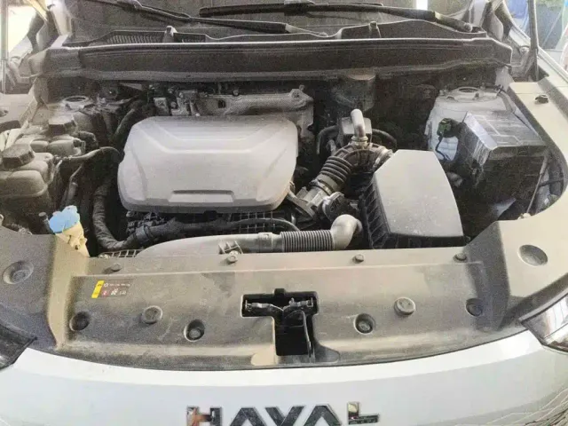Haval Xiaolong MAX — Фото автомобиля 3