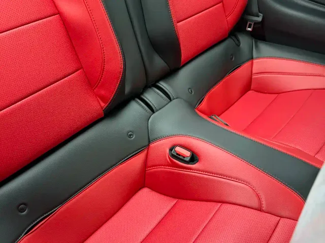 Ford Mustang — Фото автомобиля 19