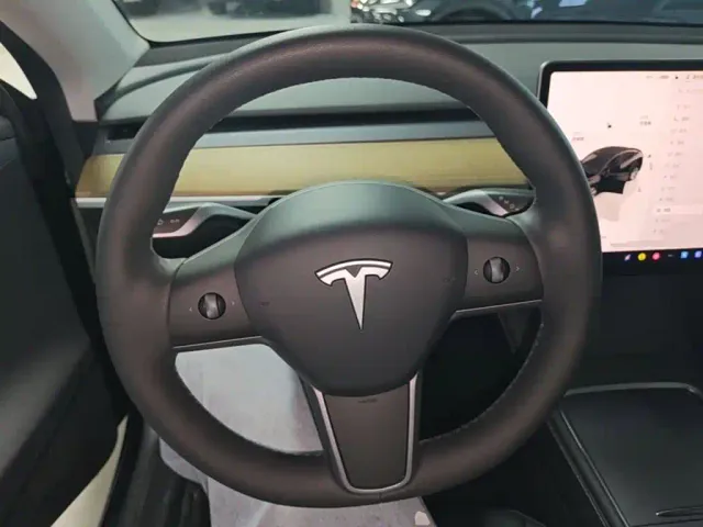 Tesla Model Y — Фото автомобиля 10