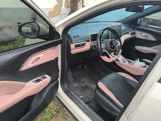 BYD Seagull — Фото автомобиля 15