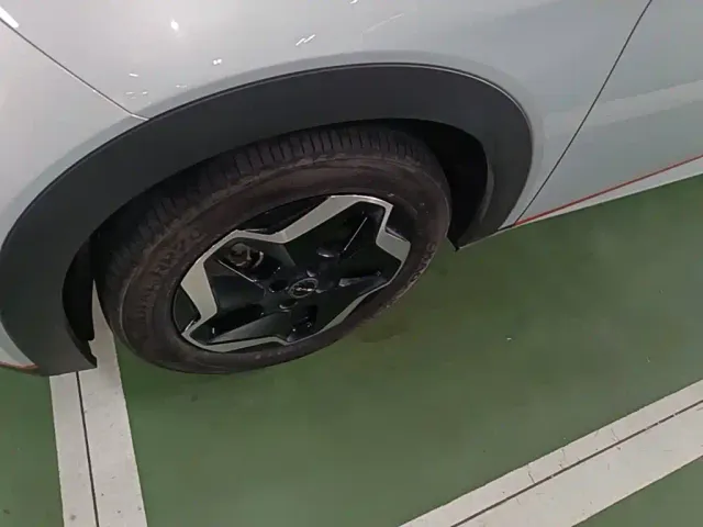 BYD Dolphin — Фото автомобиля 22
