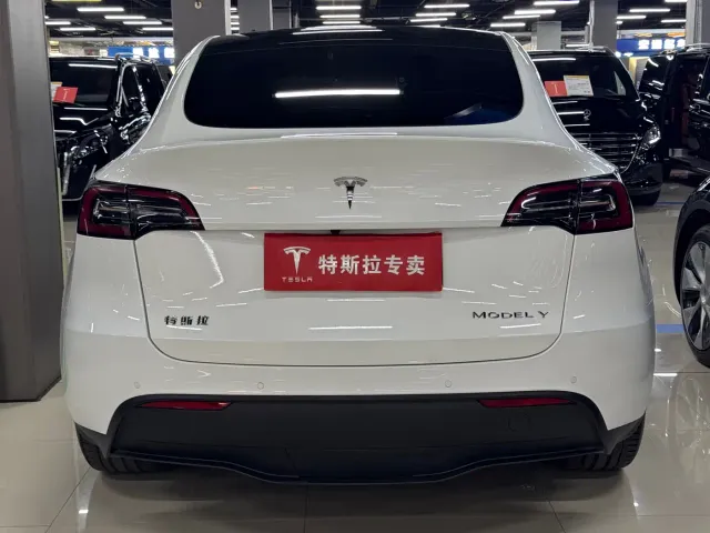 Tesla Model Y — Фото автомобиля 8