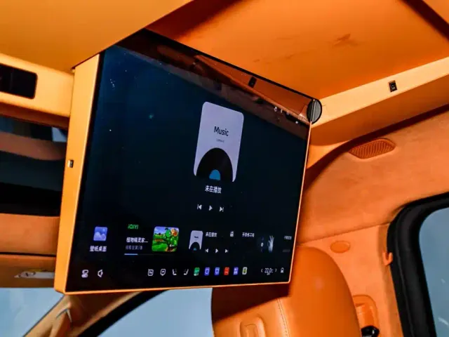 Wey Alpine — Фото автомобиля 11