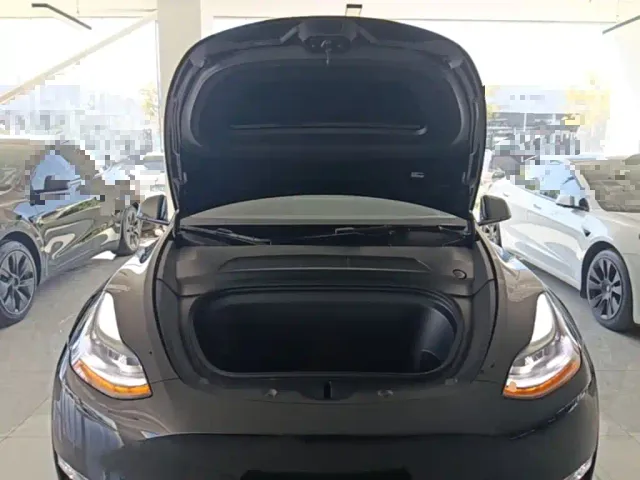 Tesla Model Y — Фото автомобиля 19