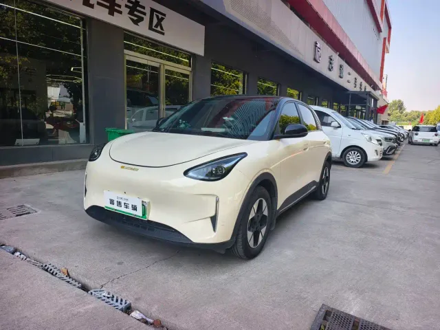 Фотография автомобиля — Geely Starry Wish