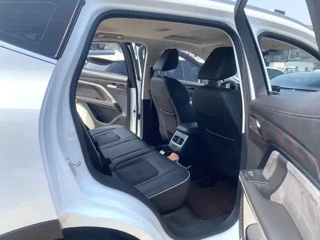 Leapmotor Leapmotor C11 2023 Pure Electric 500 Comfort Edition — Фото автомобиля 6