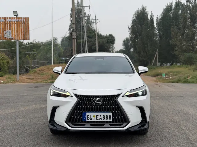 Lexus Lexus NX 2022 260 FWD Innovation Edition — Фото автомобиля 2