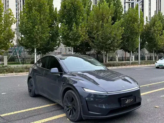 Tesla Model Y — Фото автомобиля 2