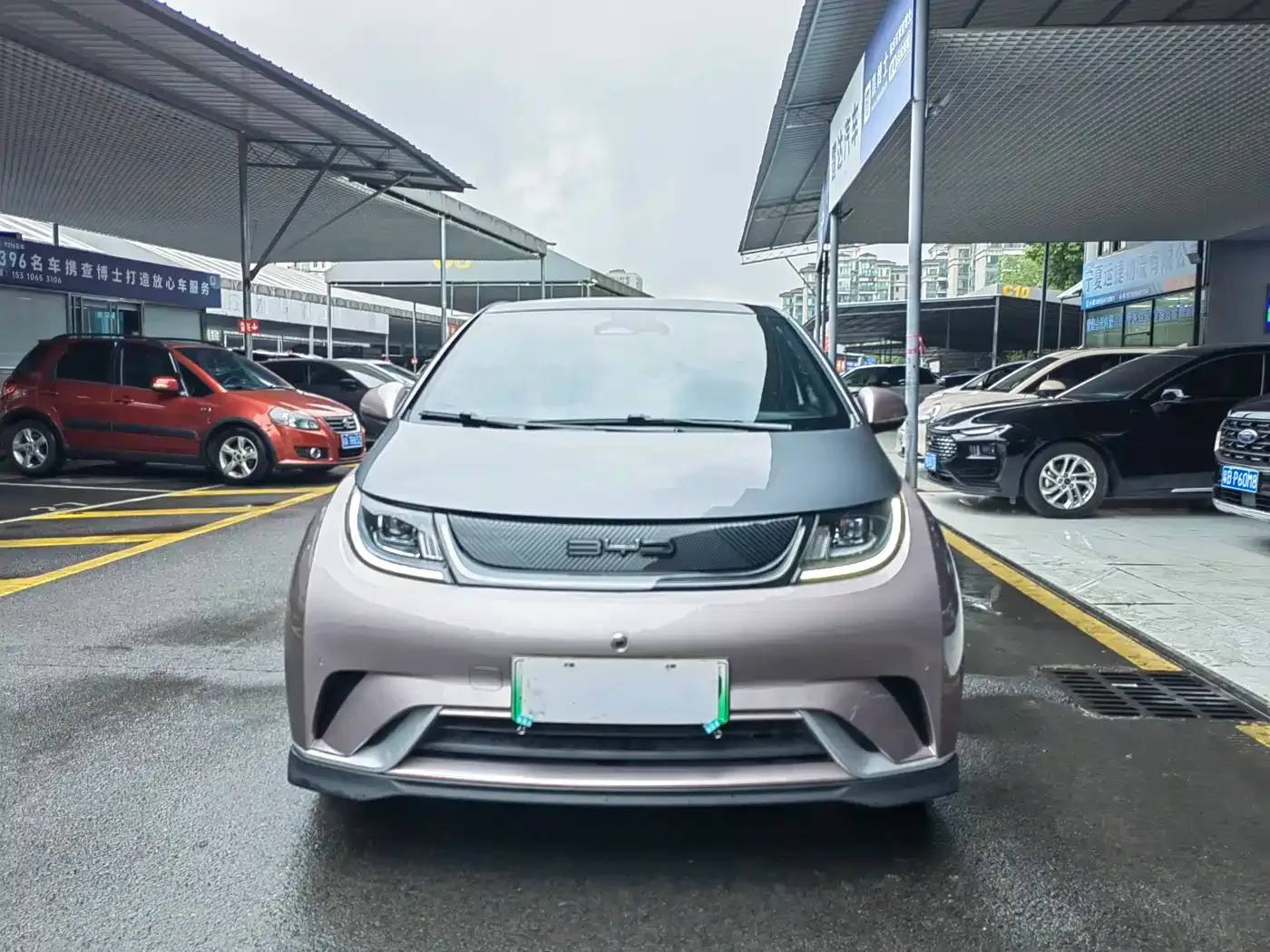 BYD Dolphin 2023 401km Knight Edition — Фото автомобиля 2