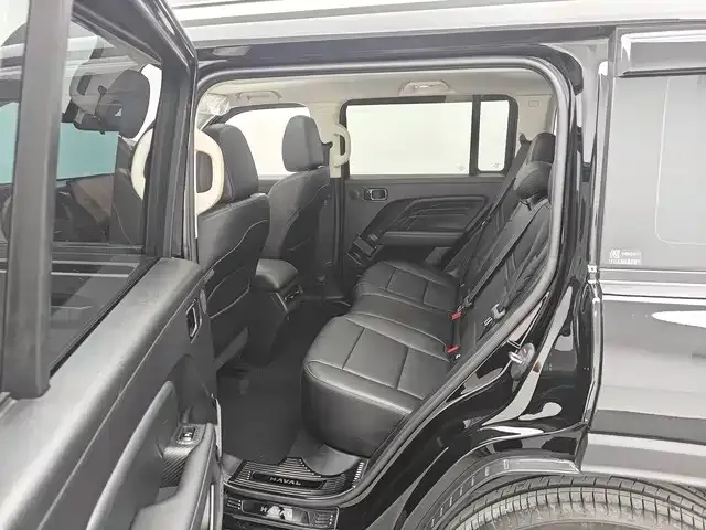 Haval Raptor — Фото автомобиля 8