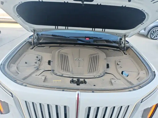 Hongqi E-HS9 — Фото автомобиля 19