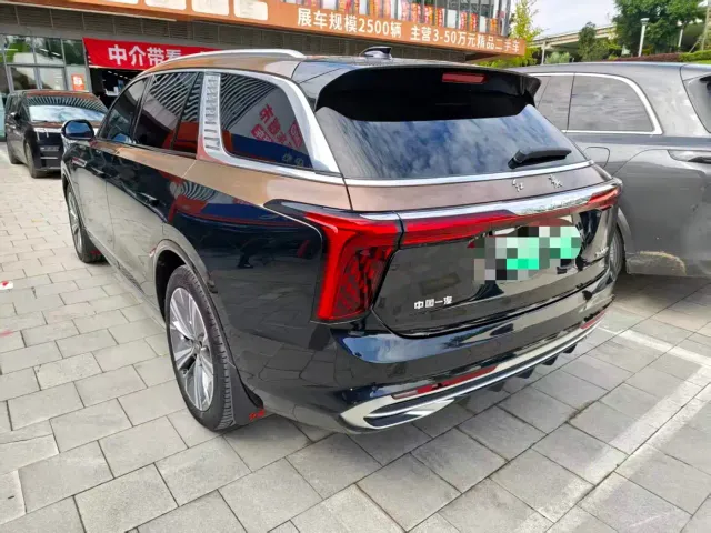 Hongqi E-HS9 — Фото автомобиля 14