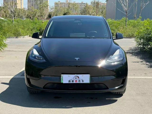 Tesla Model Y — Фото автомобиля 2