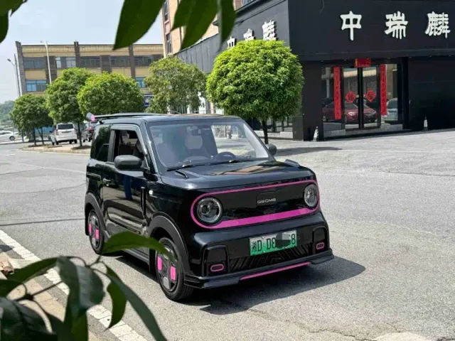 Geely Panda — Фото автомобиля 3