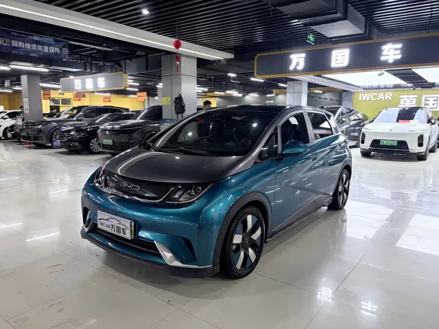 Фотография автомобиля — BYD Dolphin