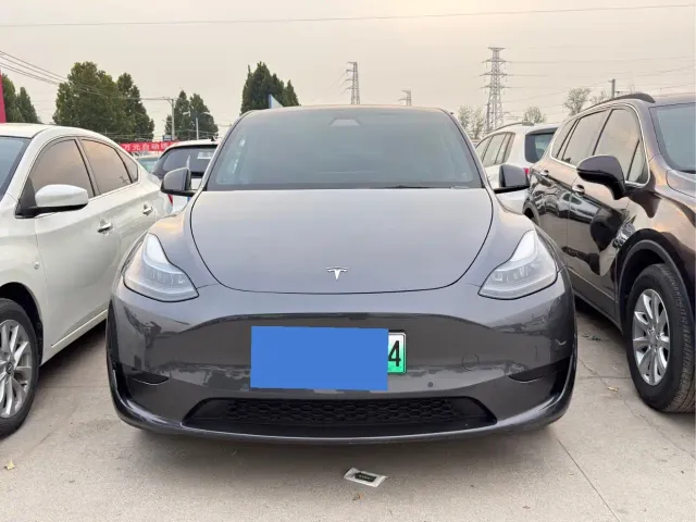 Tesla Model Y — Фото автомобиля 2