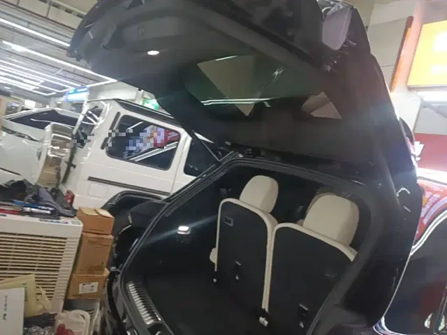 Li Auto L8 — Фото автомобиля 18