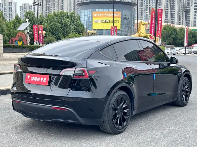 Tesla Model Y — Фото автомобиля 10