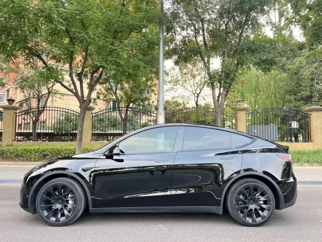 Tesla Model Y — Фото автомобиля 2