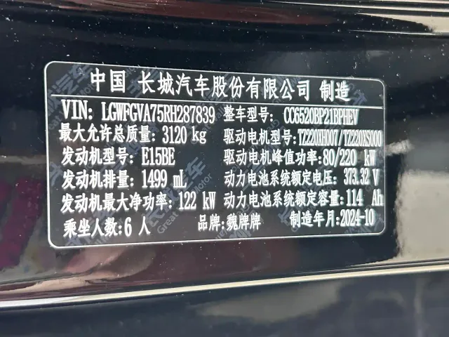 Wey Lanshan — Фото автомобиля 14