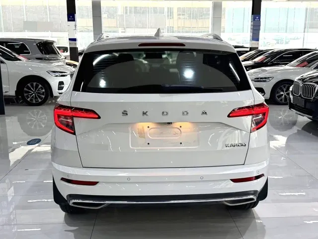 Skoda Karoq — Фото автомобиля 12