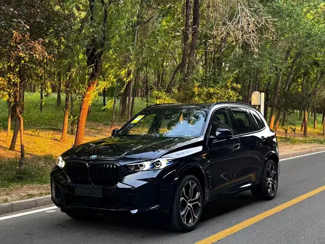 BMW X5 — Фото автомобиля 2