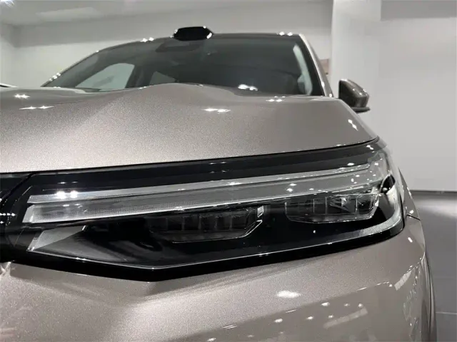 GAC Trumpchi Xiangwang S9 — Фото автомобиля 13