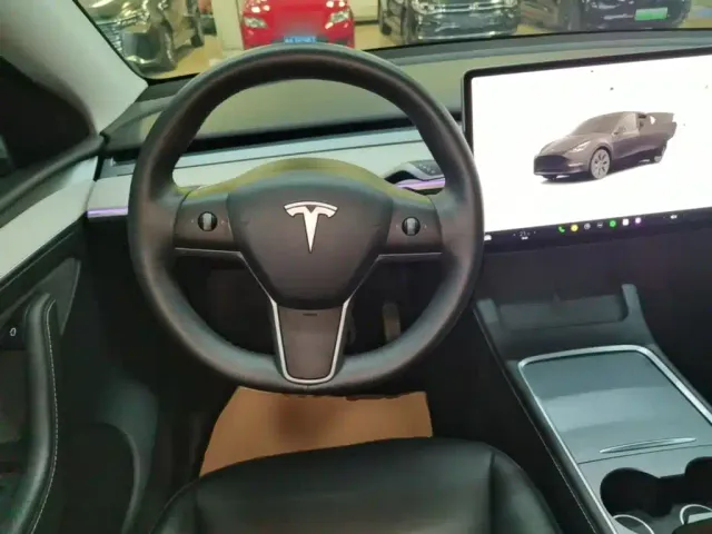 Tesla Model Y — Фото автомобиля 10